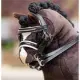 LeMieux Hobby Horse kandar hoofdstel